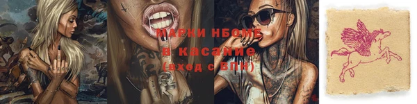 дмт Елизово