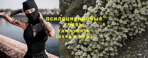 ПСИЛОЦИБИНОВЫЕ ГРИБЫ Елабуга