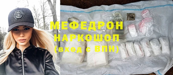 индика Ельня