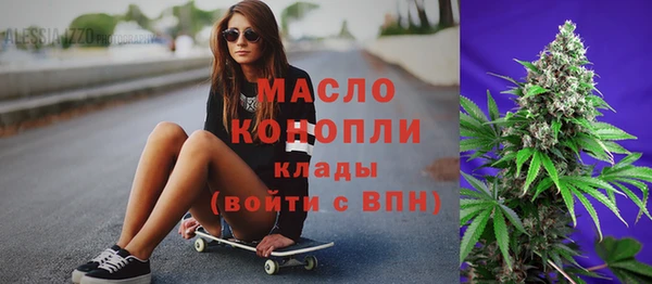 индика Ельня
