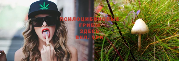 хмурый Наволоки