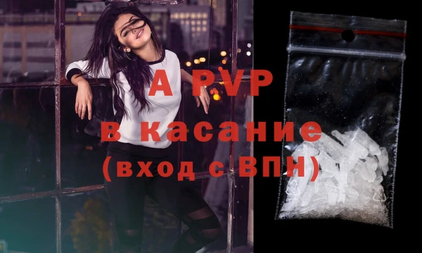 индика Ельня