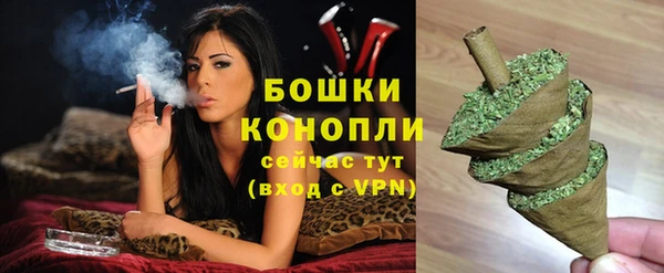 ПСИЛОЦИБИНОВЫЕ ГРИБЫ Елабуга